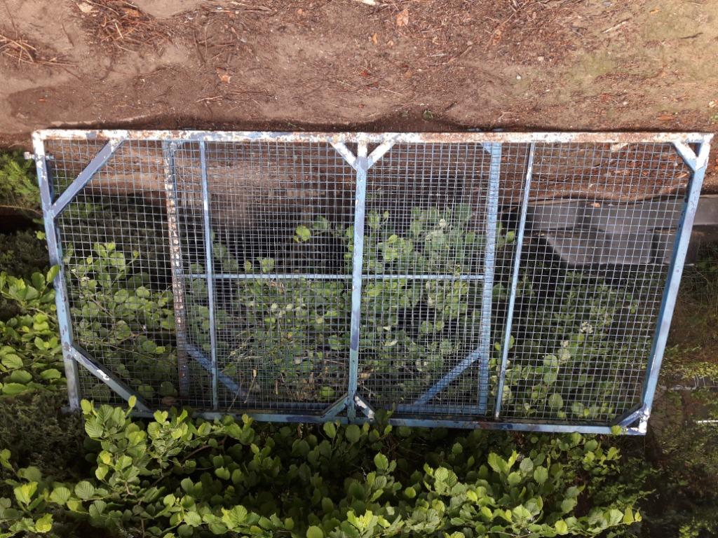 Weidepoort, Tuin en Terras, Ophalen, Gebruikt