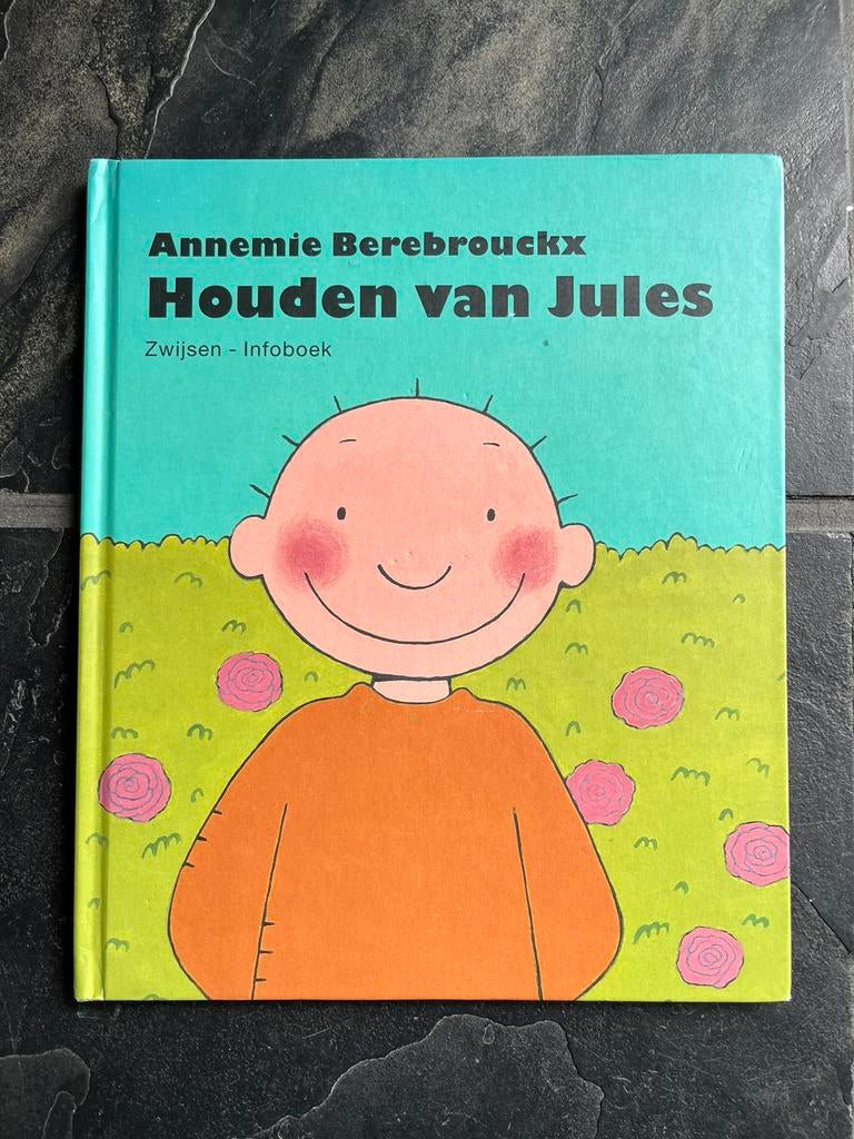 Houden van Jules - Annemie Berebrouckx, Boeken, Ophalen, Zo goed als nieuw, Annemie Berebrouckx, Jongen of Meisje