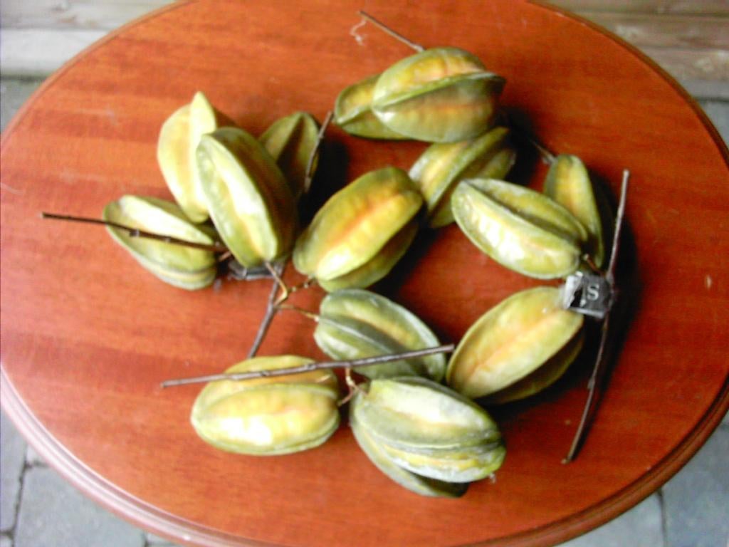 Lot Sterfruit carambole kunstfruit SIA, Ophalen of Verzenden