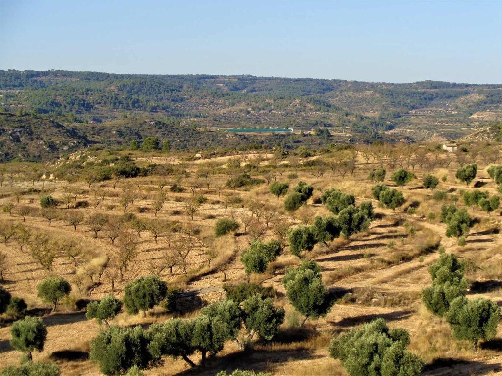 Finca in Maella (Aragon, Espagne) - 0678, Immo, 20 m², Autres types, Espagne, Campagne