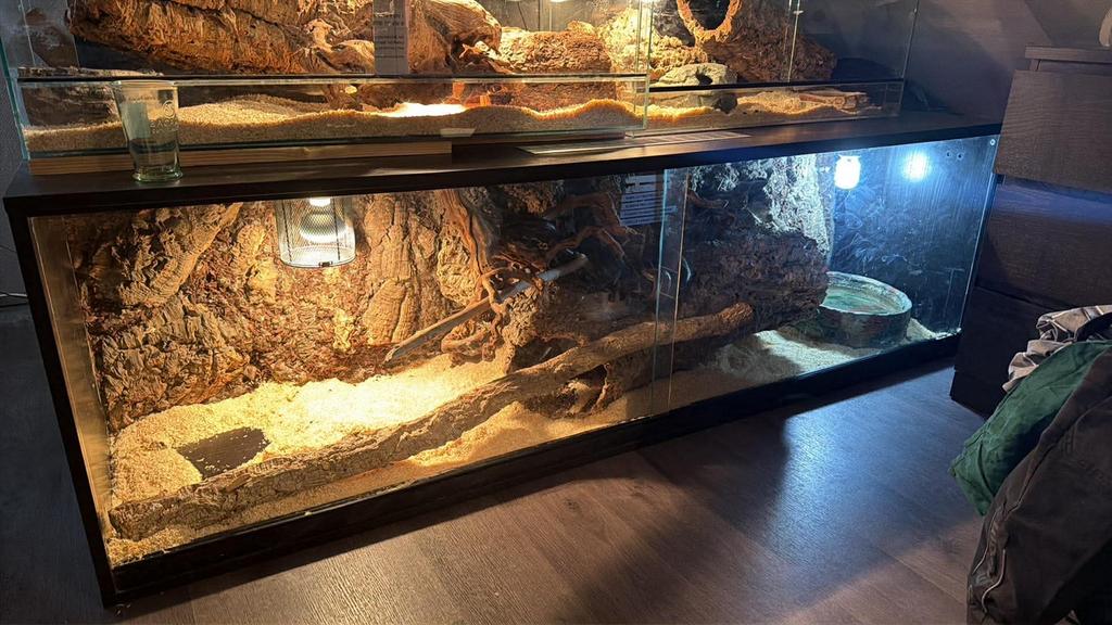 Terrarium, Animaux & Accessoires, Enlèvement, Comme neuf