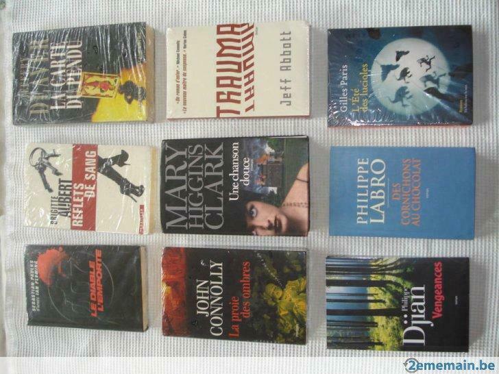 livres - romans - thriller, Livres, Enlèvement ou Envoi, Utilisé