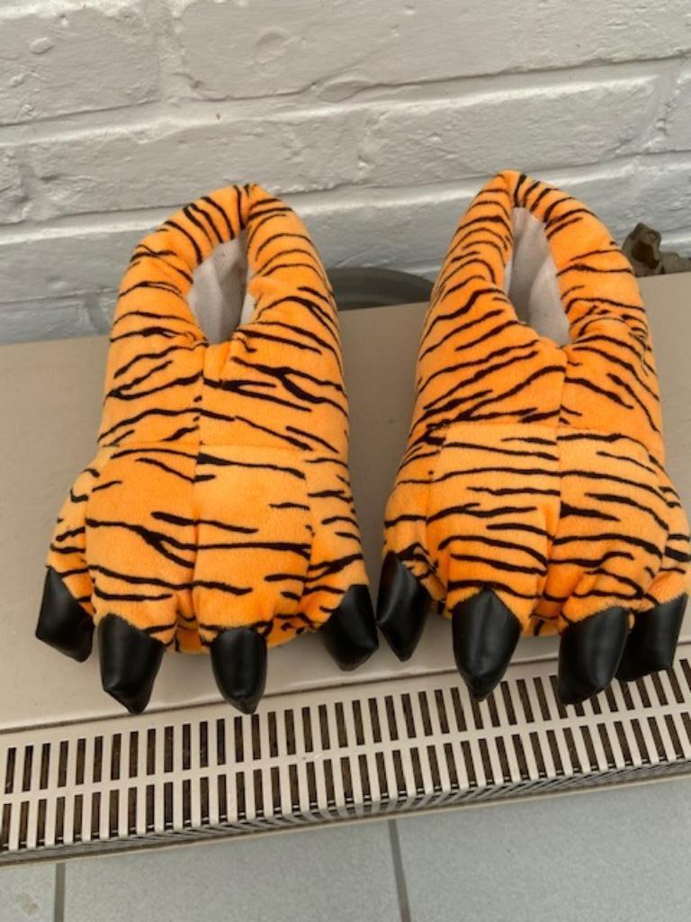 Pantoffels kinderen ( leeuwen voeten  ), Enlèvement, Comme neuf, Garçon ou Fille, Chaussettes