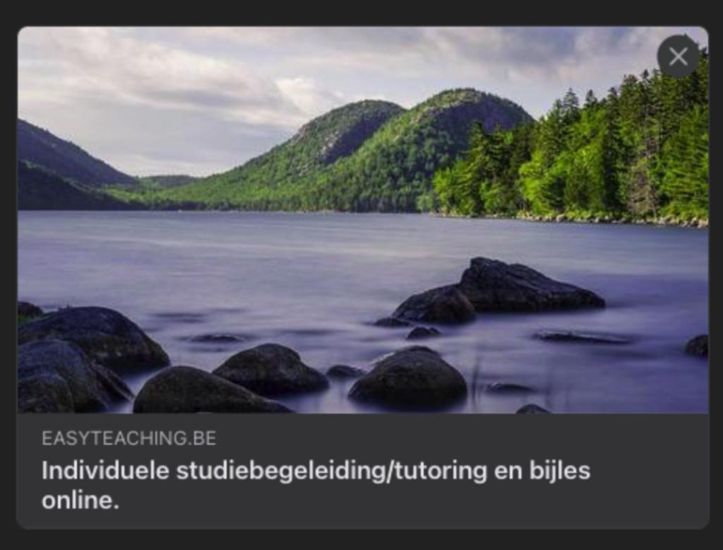 tutorat / tutorat mathématiques, Leçon particulière