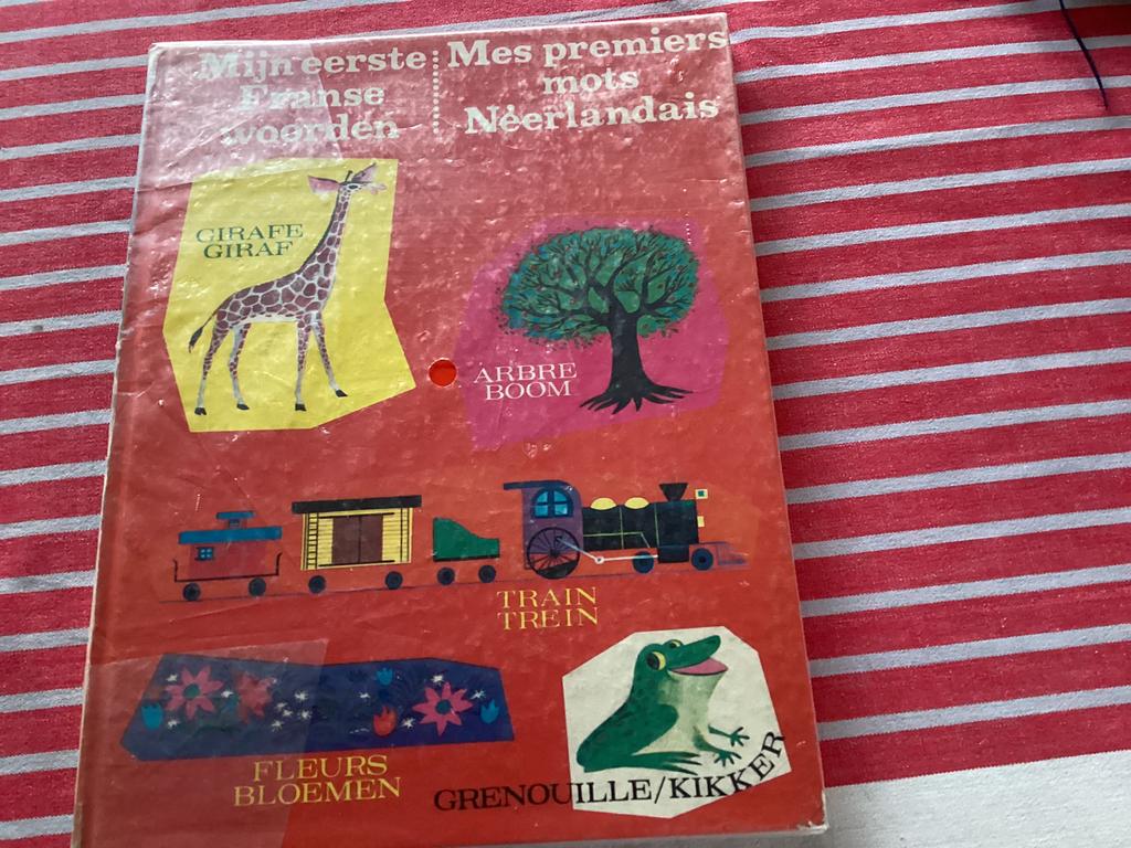 Mijn eerste Franse woorden, Ophalen of Verzenden, Gelezen, Fictie algemeen