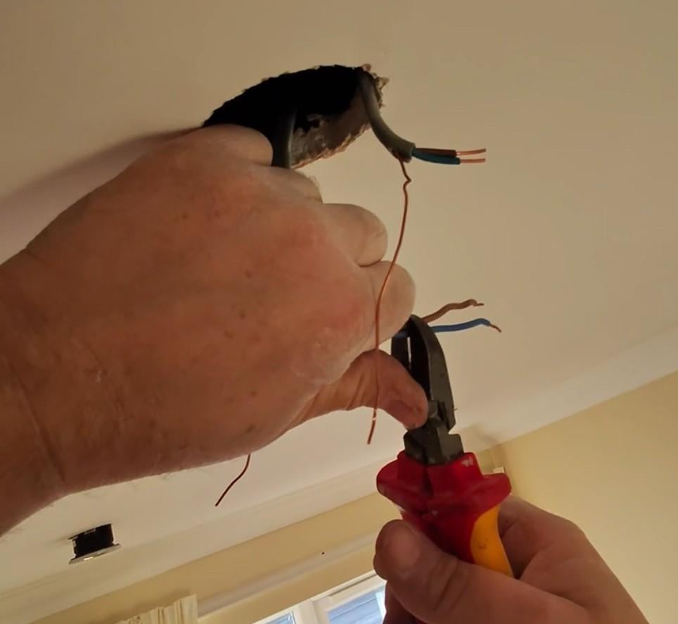 Betrouwbare elektricien voor kleine elektrische reparaties, Dieren en Toebehoren
