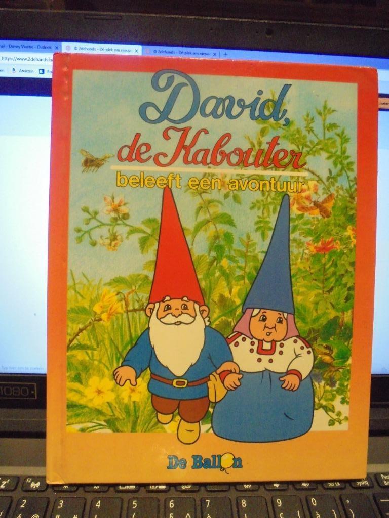 David, de kabouter, Ophalen of Verzenden, Gelezen