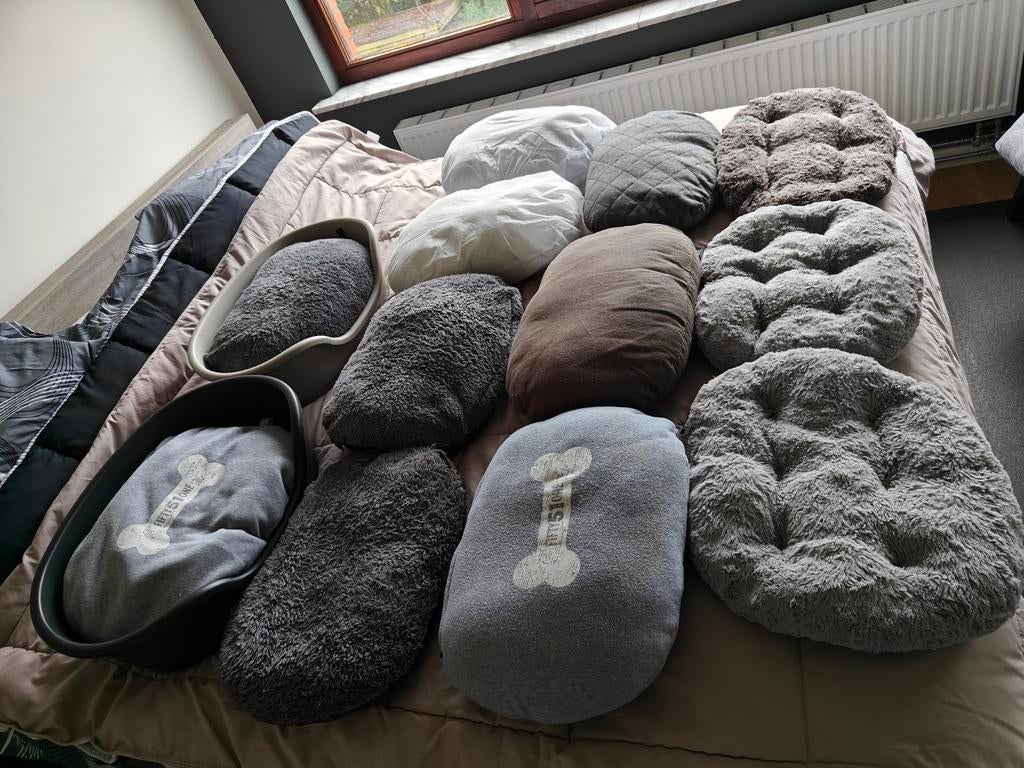 Kussens + manden, Dieren en Toebehoren, Ophalen, Gebruikt