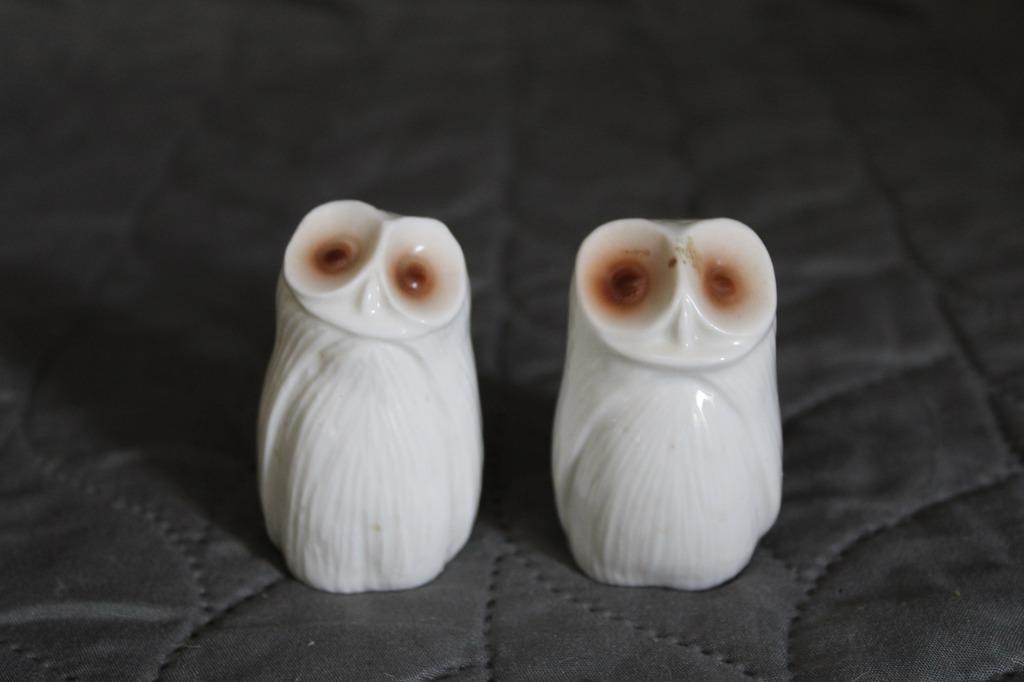 Peper- en zoutvat in de vorm van uilen, Overige typen, Ophalen of Verzenden, Zo goed als nieuw, Overige stijlen