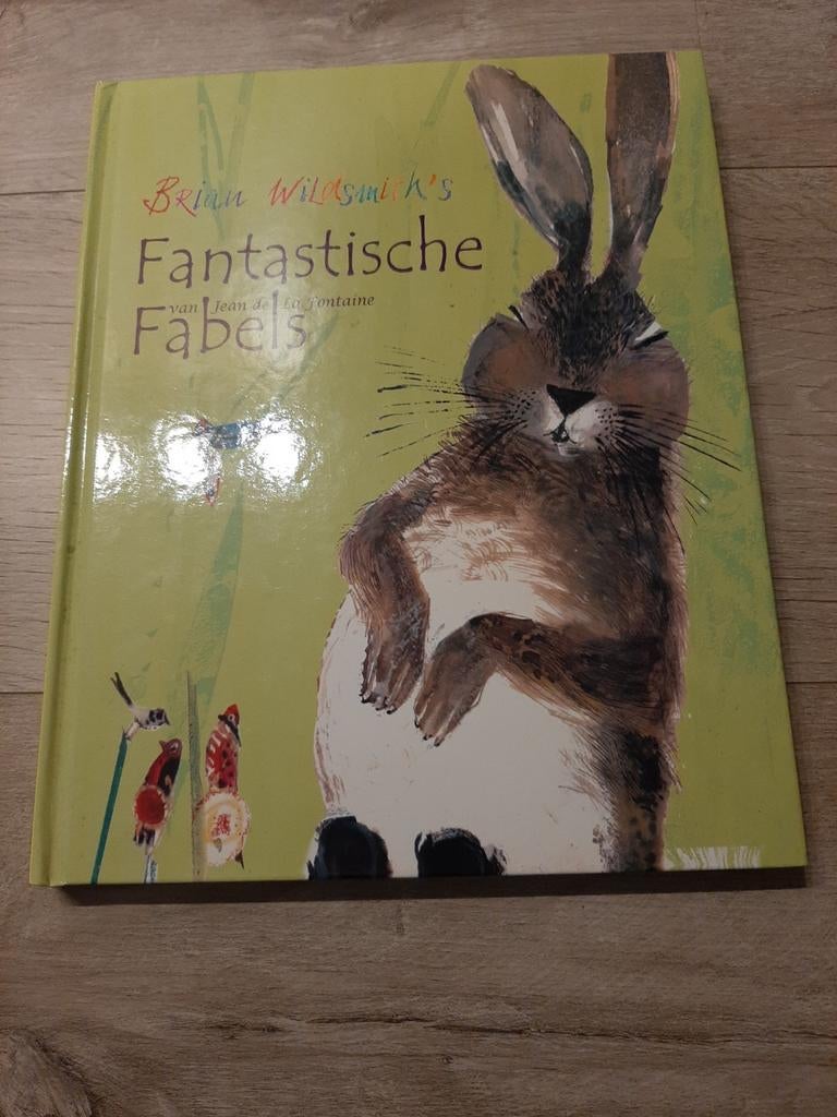 B. Wildsmith - Fantastische fabels, Ophalen of Verzenden, Zo goed als nieuw, B. Wildsmith