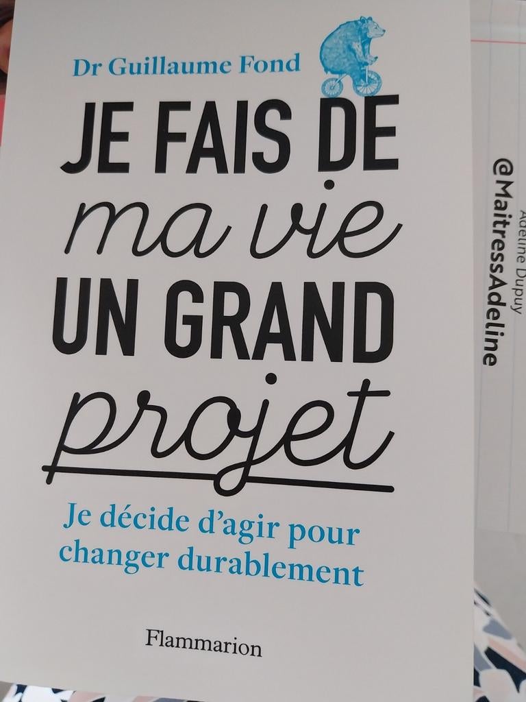 Je fais de ma vie un grand projet., Enlèvement