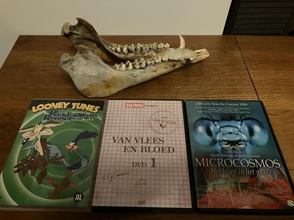 roadrunner / vlees / microcosmos dvd 5 euro per stuk, Ophalen of Verzenden