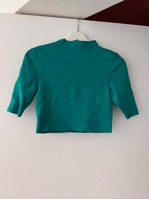 Patrizia Pepe cropped top groen Medium   NIEUW, Neuf, Manches courtes, Taille 38/40 (M), Enlèvement ou Envoi