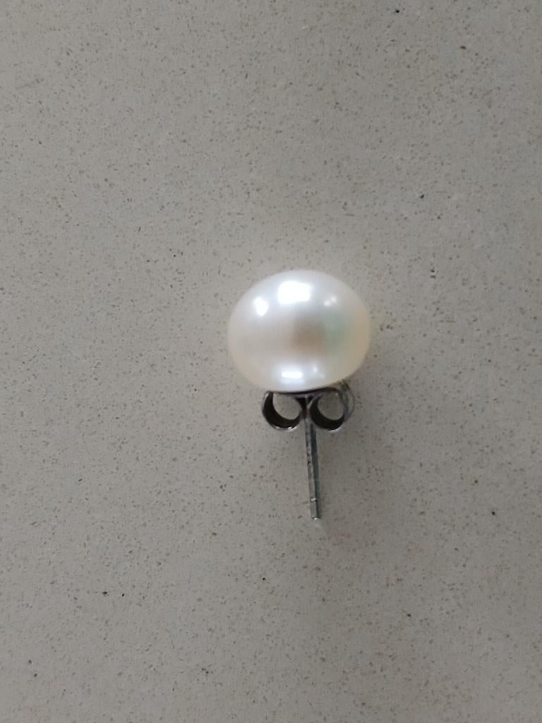 Boucle d'oreille en argent et perle d'eau douce, grande, 1x, Puces ou Clous, Enlèvement ou Envoi, Comme neuf, Argent