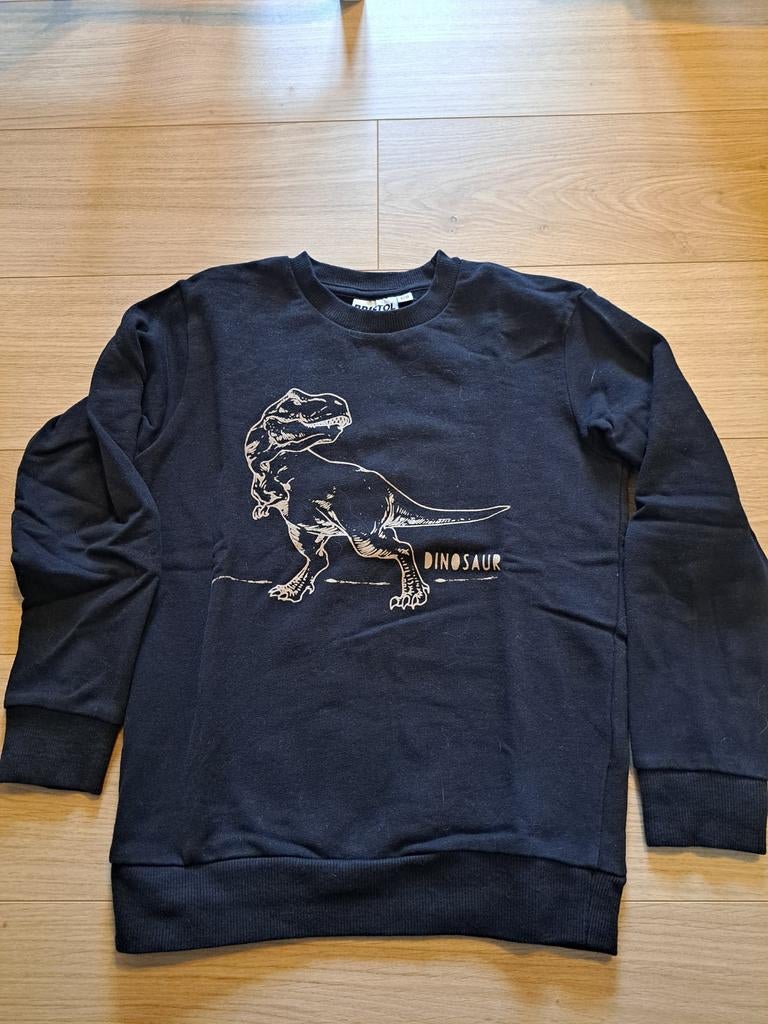 Trui Dino Bristol, maat 128, Trui of Vest, Ophalen of Verzenden, Zo goed als nieuw, Jongen