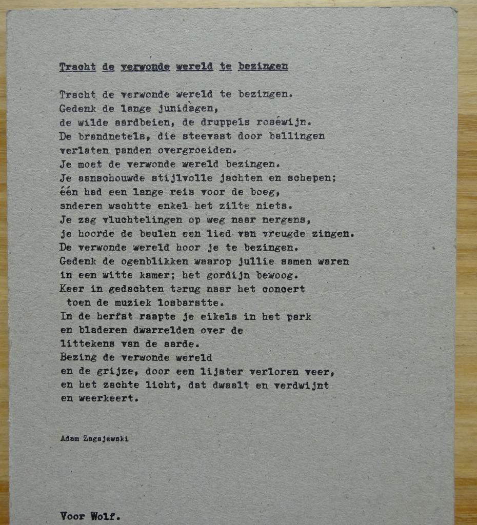 Watou 2013, Boeken, Kunst en Cultuur | Beeldend, Ophalen of Verzenden, Nieuw, Schilder- en Tekenkunst