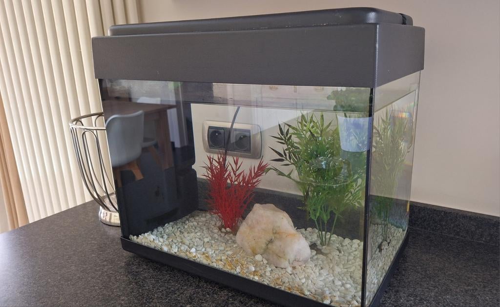 Aquarium (koud water) met toebehoren, Ophalen of Verzenden, Zo goed als nieuw
