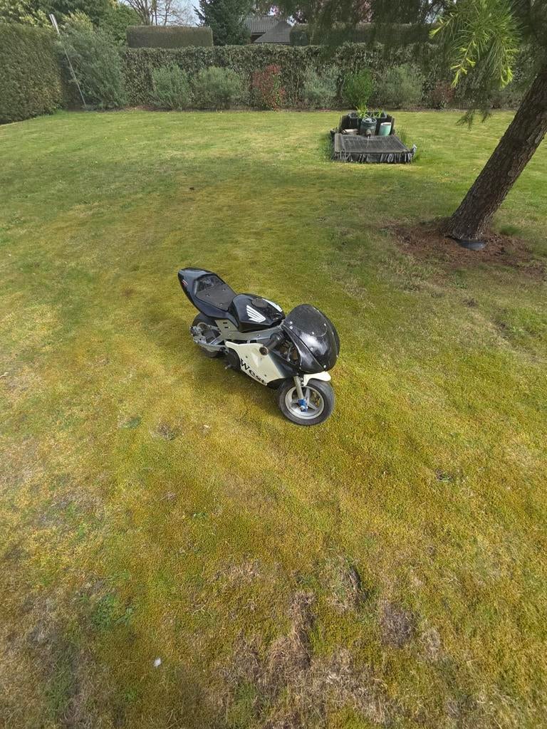 50cx Pocketbike, Ophalen, Nieuw, Pitbike, 50 cc