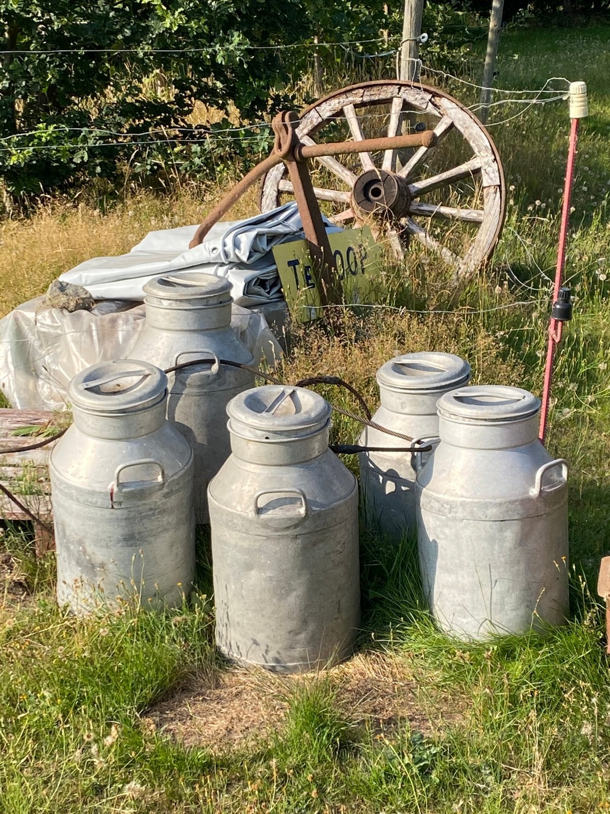 Vieux pots à lait, Jardin & Terrasse, Enlèvement, Utilisé