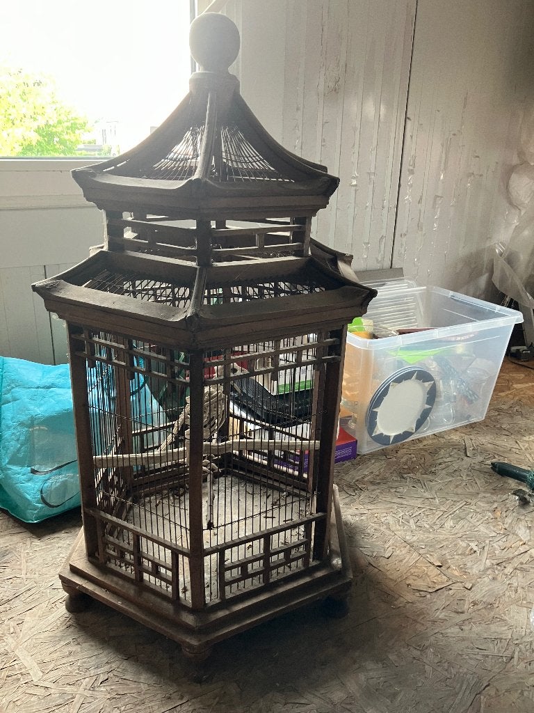 Oude vogelkooi, Ophalen, Zo goed als nieuw, Hout, Vogelkooi