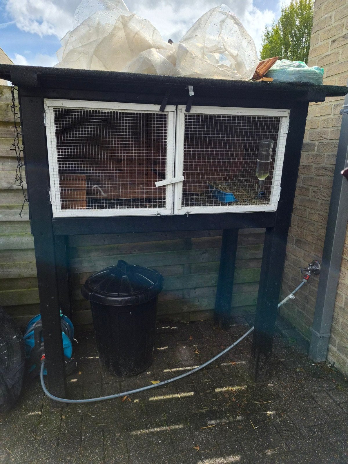 ruim cavia hok op hoge poten en 3 cavia's, Dieren en Toebehoren, Ophalen, Gebruikt, 90 cm of meer, Hok