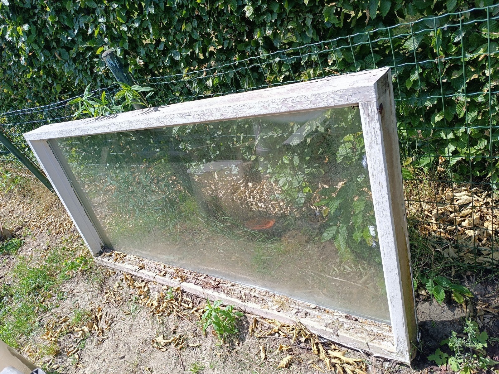 Gratis raam dubbel glas in houten blokprofiel Oostkamp, Doe-het-zelf en Bouw, Raamkozijnen en Schuifdeuren, Ophalen