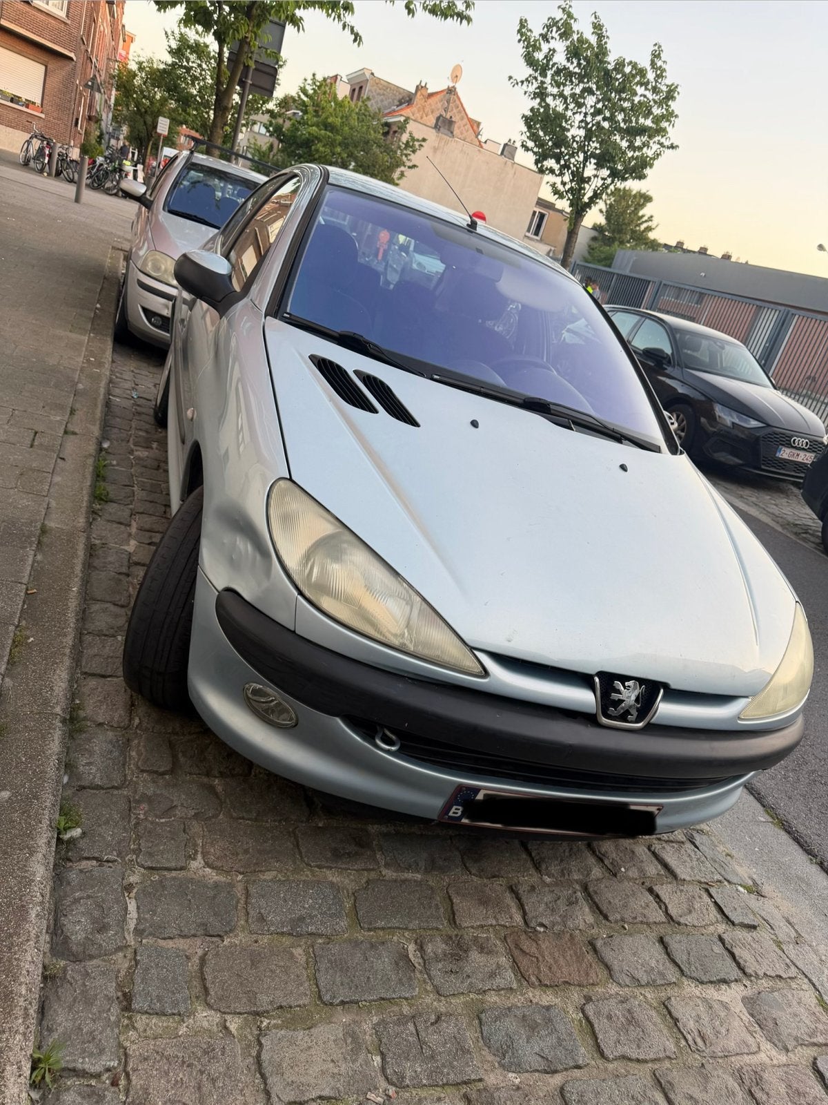 Peugeot 206, Achat, Particulier, Essence