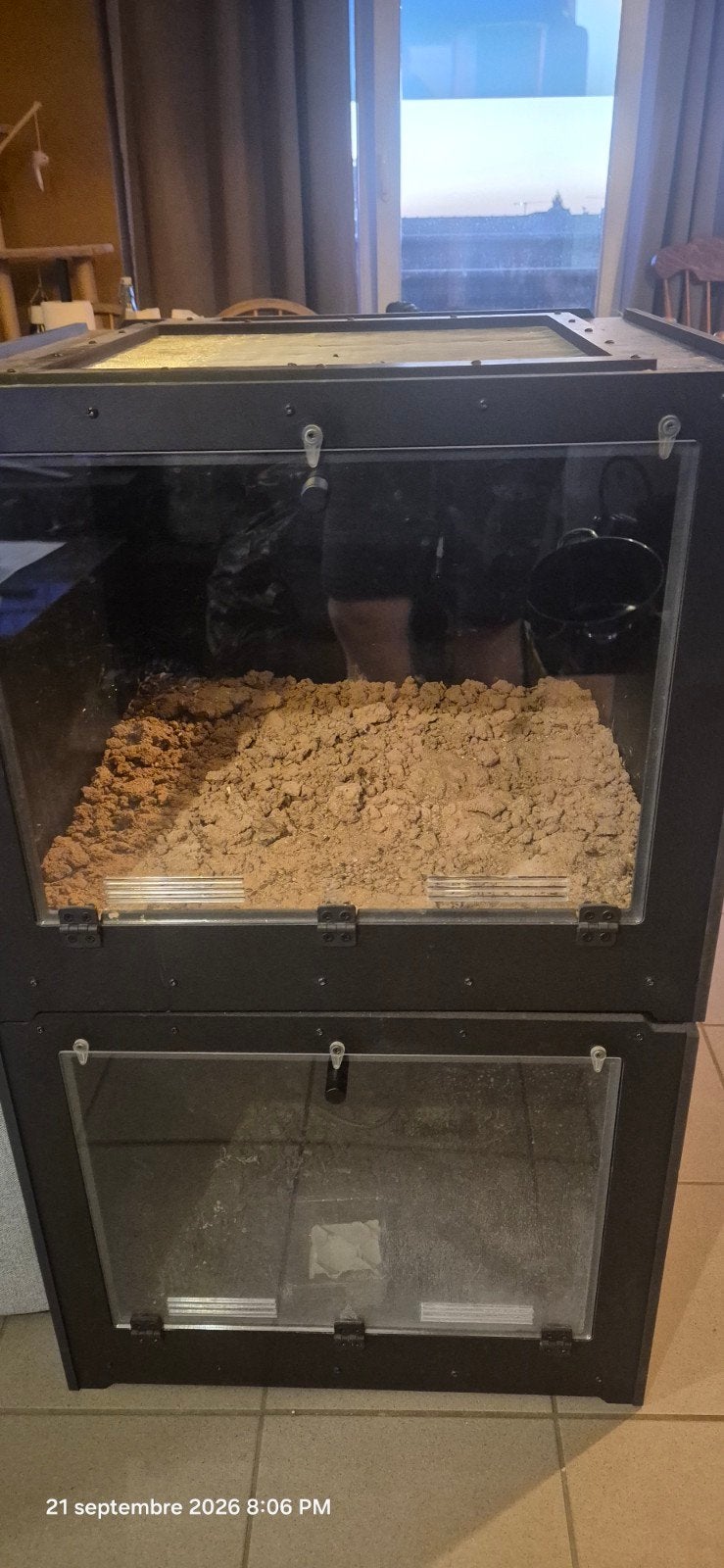terrarium delta first 60x50x60 avec plafond grillagé, Ophalen
