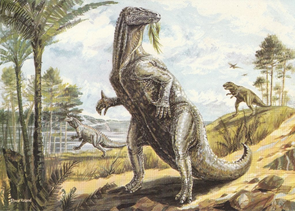 IGUANODON, Verzamelen, Postkaarten | Dieren, Verzenden, Ongelopen, Overige soorten