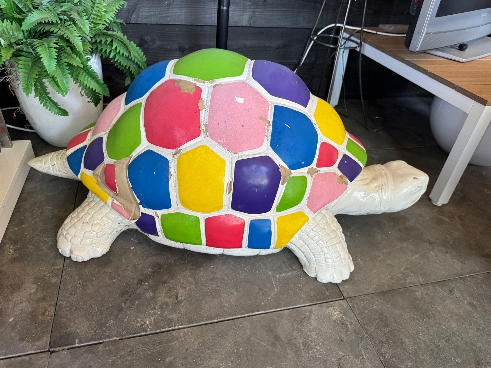 Schildpad, Tuin en Terras, Ophalen, Gebruikt