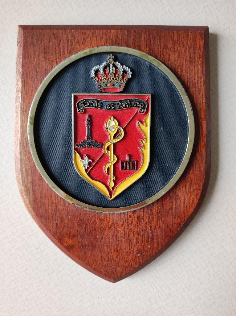 Wandplaat van het Belgische leger militair hospitaal Luik, Verzenden, Landmacht, Embleem of Badge