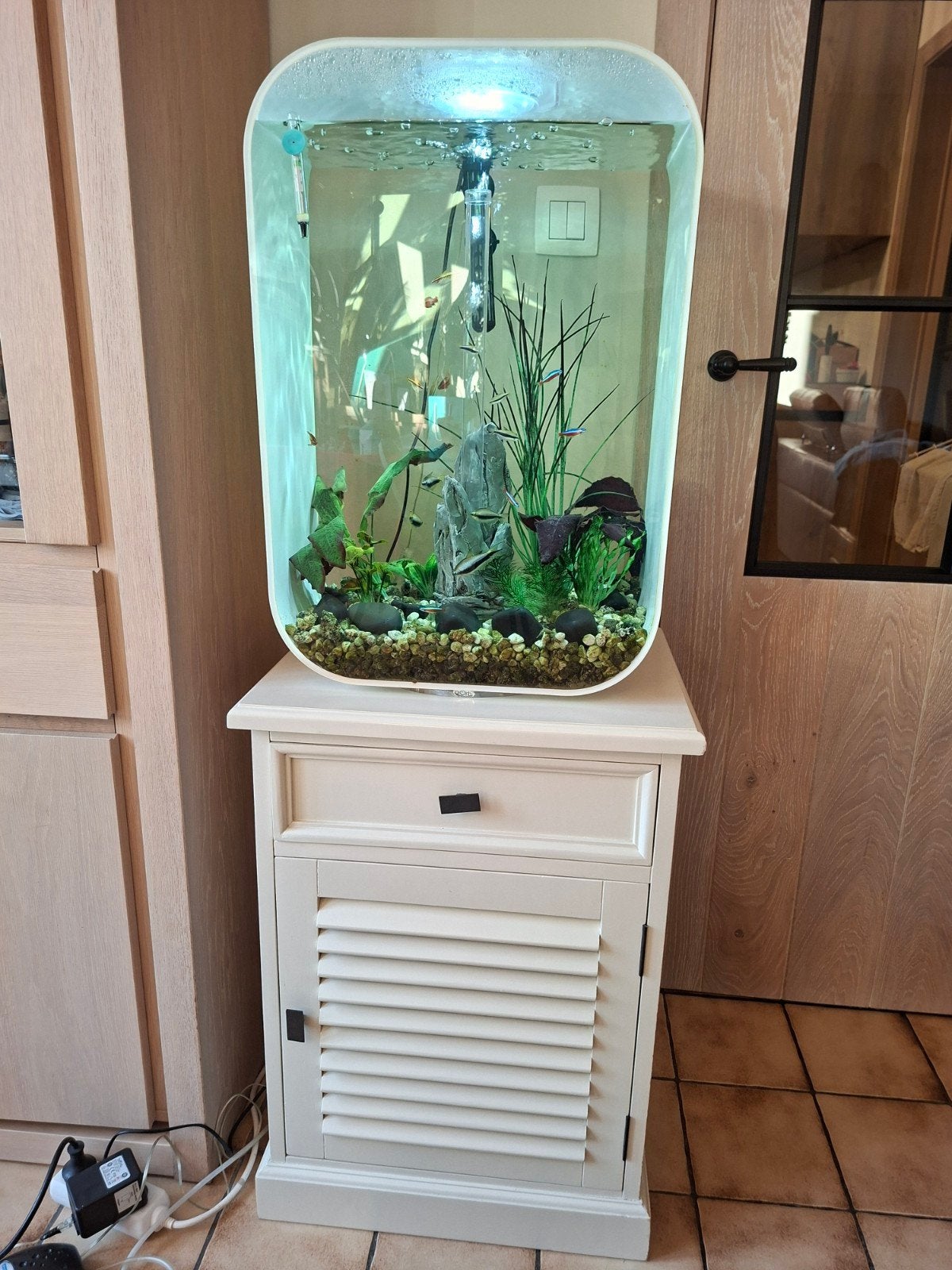 Aquarium boirb 60l, Enlèvement