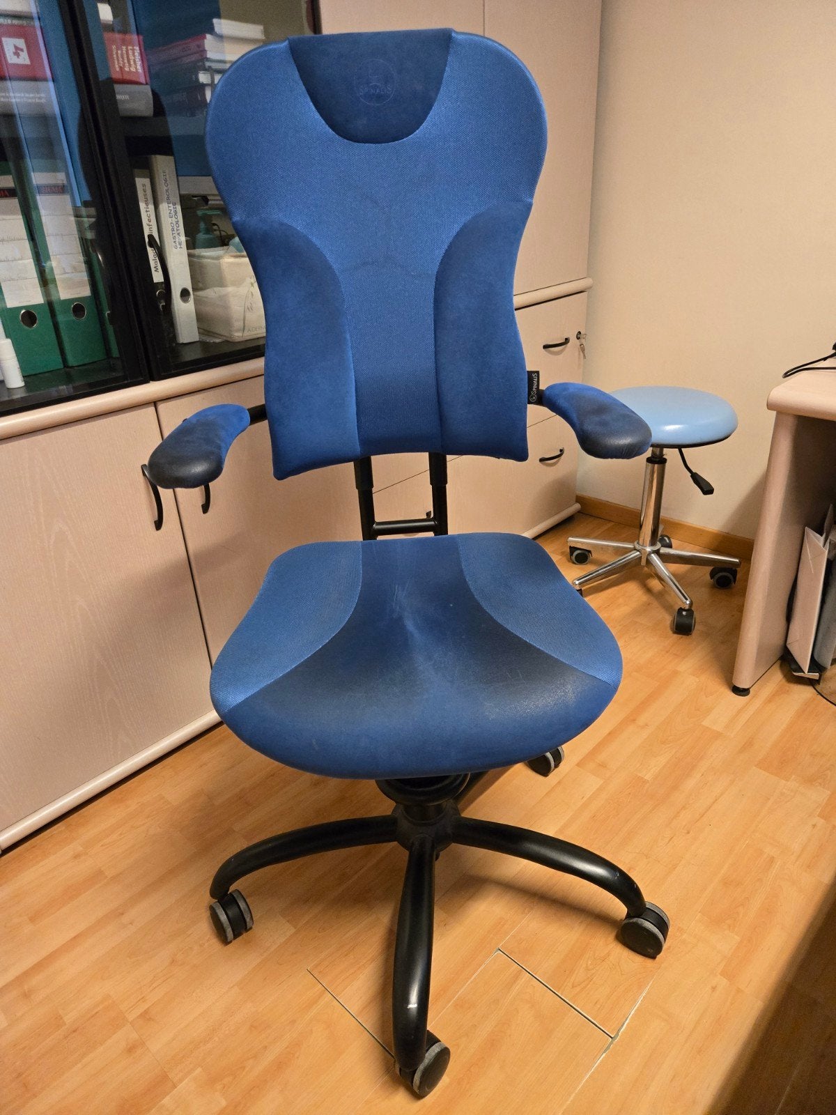 Chaise de bureau ergonomique pour douleurs lombaires, Maison & Meubles, Chaises de bureau, Chaise de bureau, Ergonomique, Enlèvement