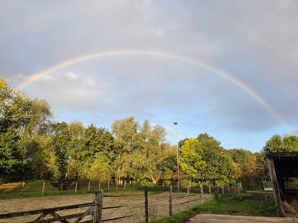 Weidegang en/ of stalling aangeboden, Stalling
