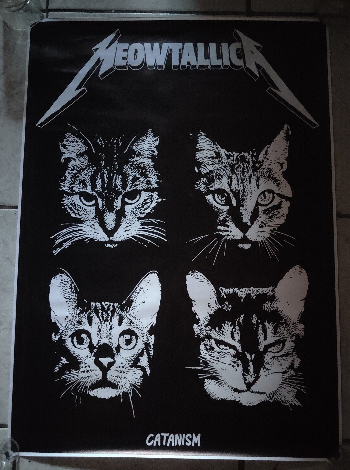 Groot bedrukt canvas „Meowtallica” rock cats 51 x 70 cm, Rechthoekig Staand, Nieuw, Ophalen of Verzenden, Canvas of Doek