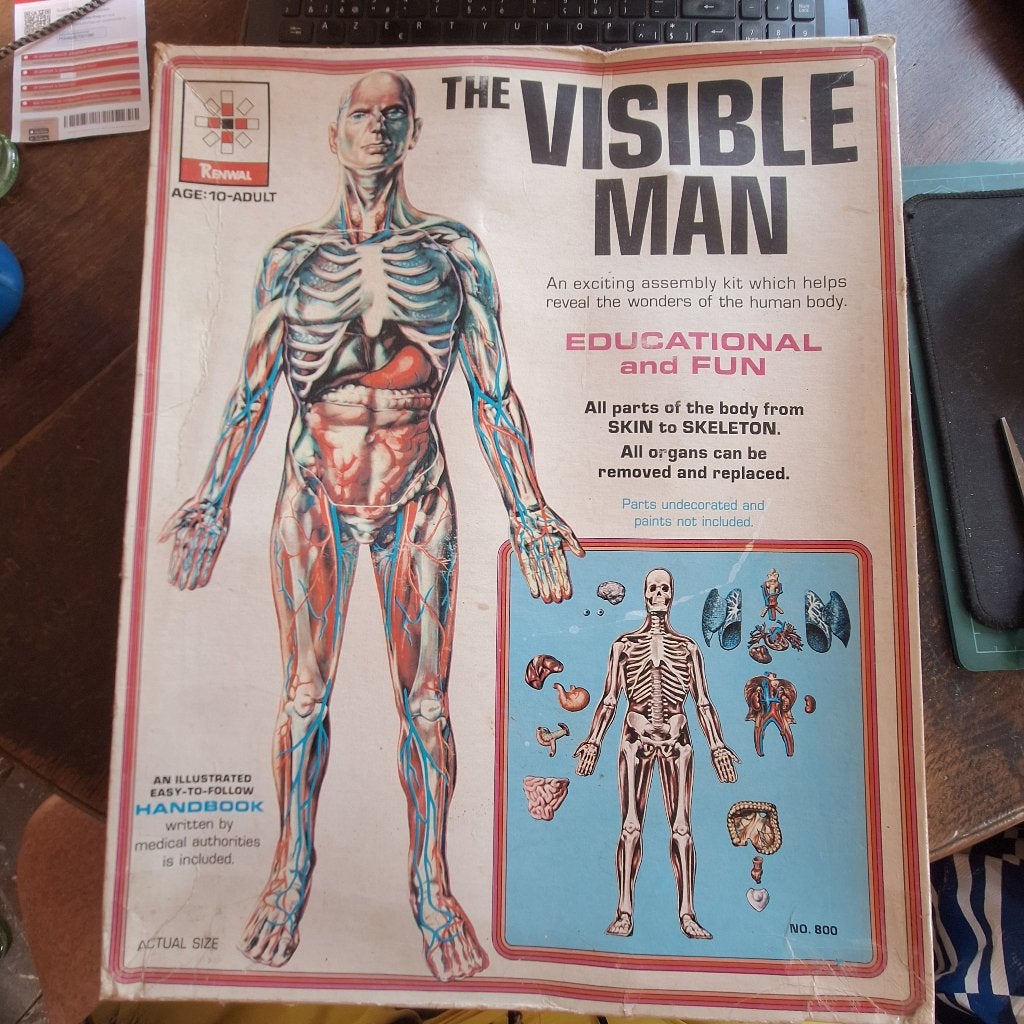 The visible man + the visible women rewal, Hobby & Loisirs créatifs, Matériel scolaire, Enlèvement ou Envoi, Utilisé, Autres types