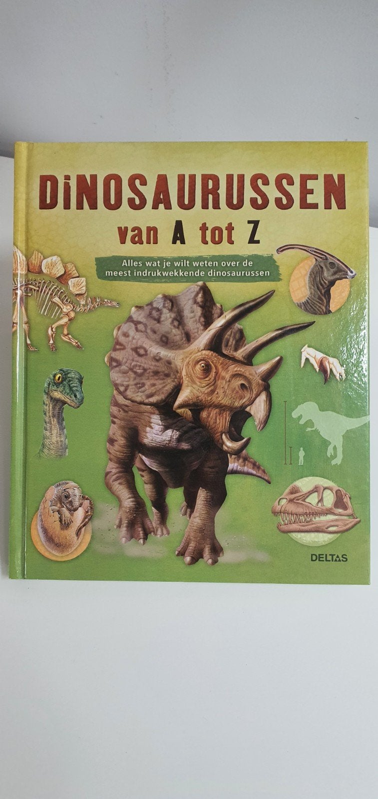 Dinosaurussen van A tot Z, Ophalen