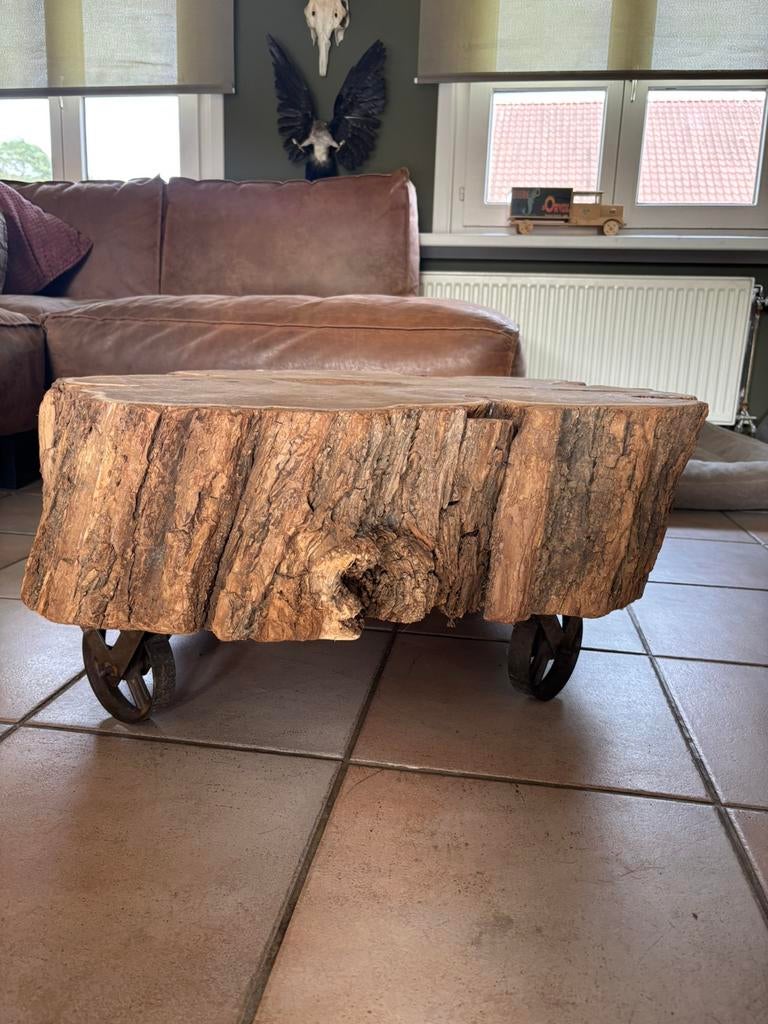 Boomstam salontafel met wielen, Huis en Inrichting, Tafels | Salontafels, Ophalen, Zo goed als nieuw