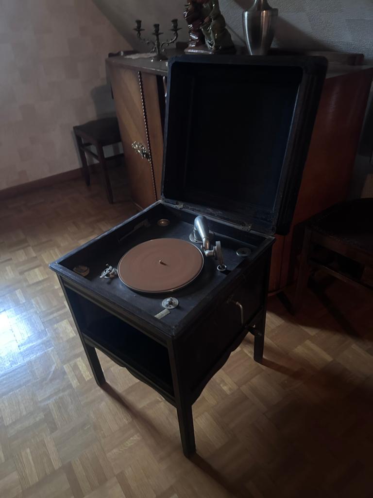 Gramophone ancien, la voix de son maître., Enlèvement
