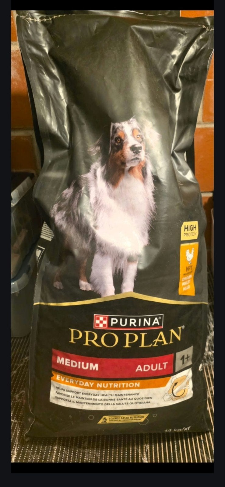manger purina pour chien, Enlèvement ou Envoi, Chien