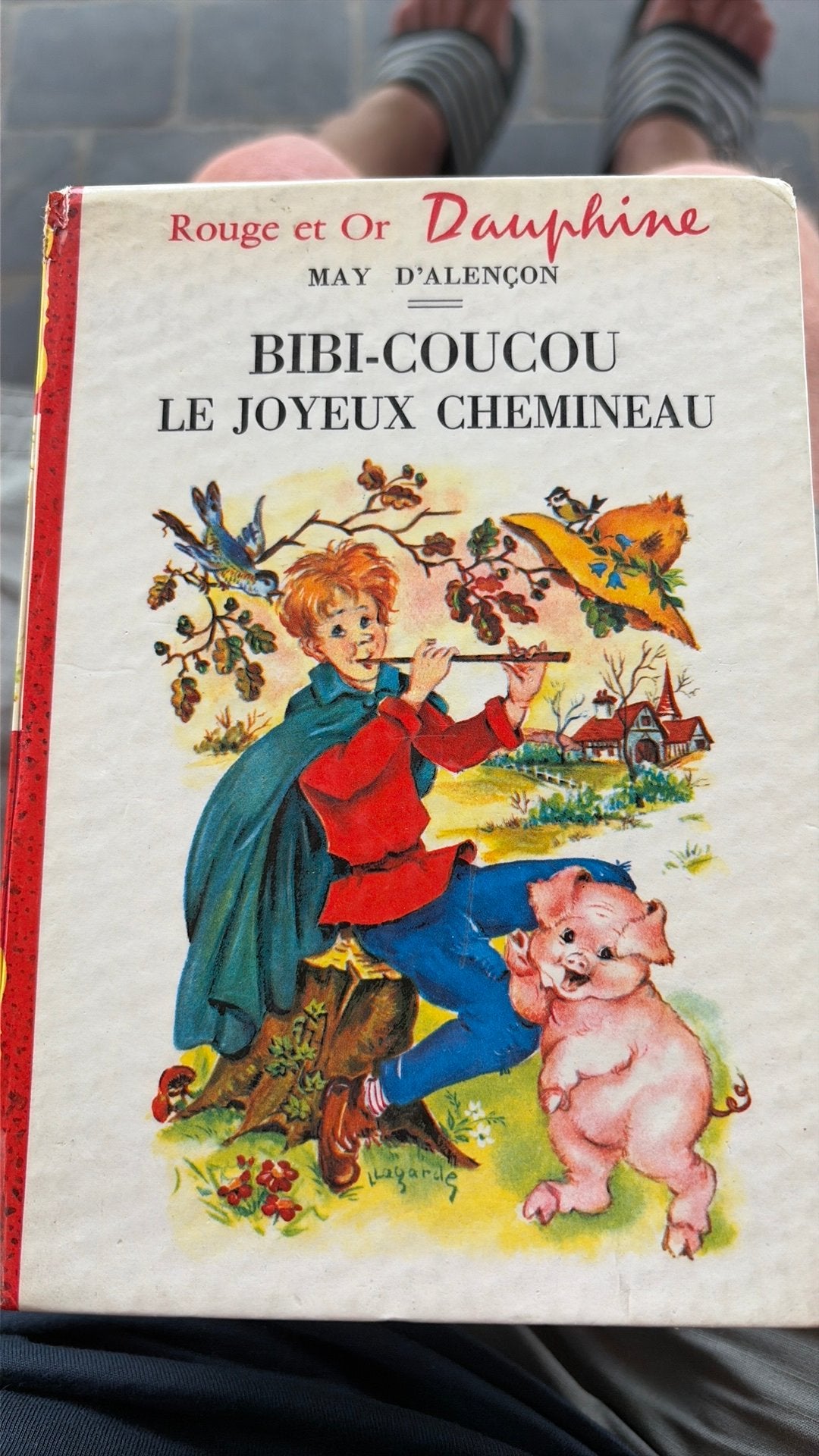 7 livres pour enfants, Ophalen of Verzenden, Gelezen