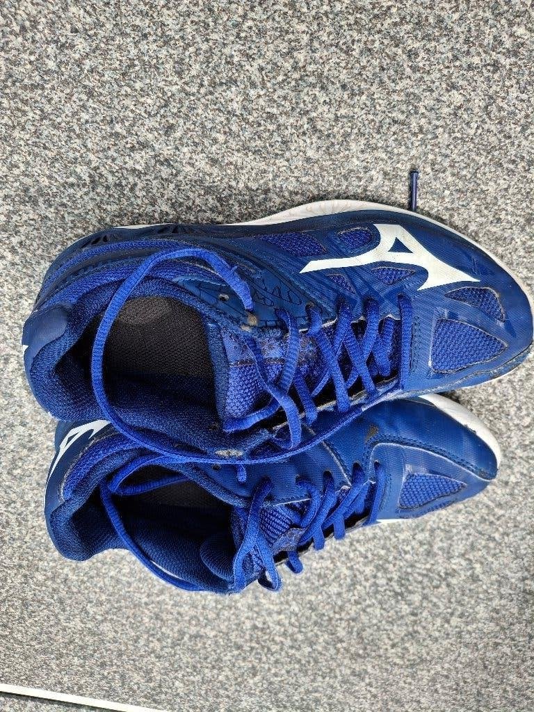 Volleybal schoenen., Ophalen, Gebruikt, Schoenen