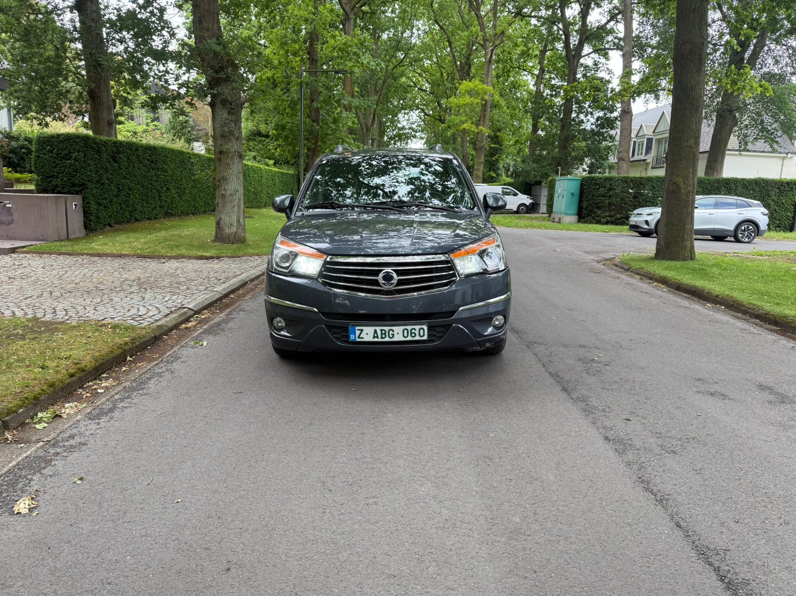 Ssang Yong Rodius 2017 7 plaatsen, Auto's, Automaat, Euro 6, Leder, Diesel