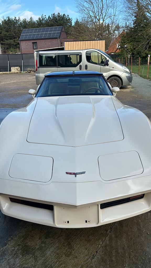 Chevrolet Corvette C3 1981, Autos, Cuir, Achat, Beige, Entreprise