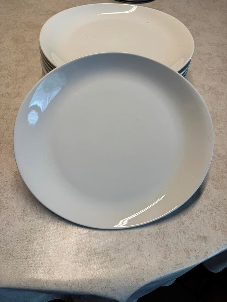 Borden voor barbecue ovaal, Huis en Inrichting, Ophalen, Zo goed als nieuw, Bord(en)