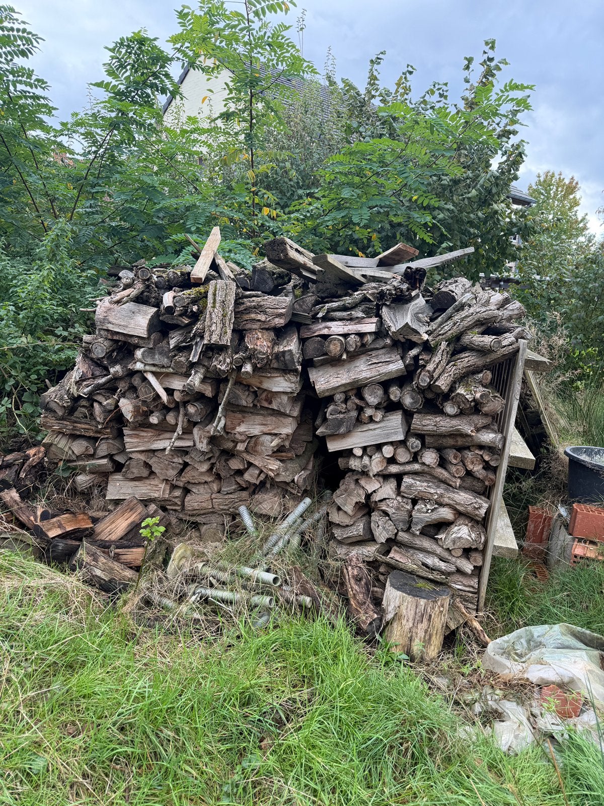 Brand hout, 6 m³ ou plus, Enlèvement, Bouleau, Troncs d'arbres