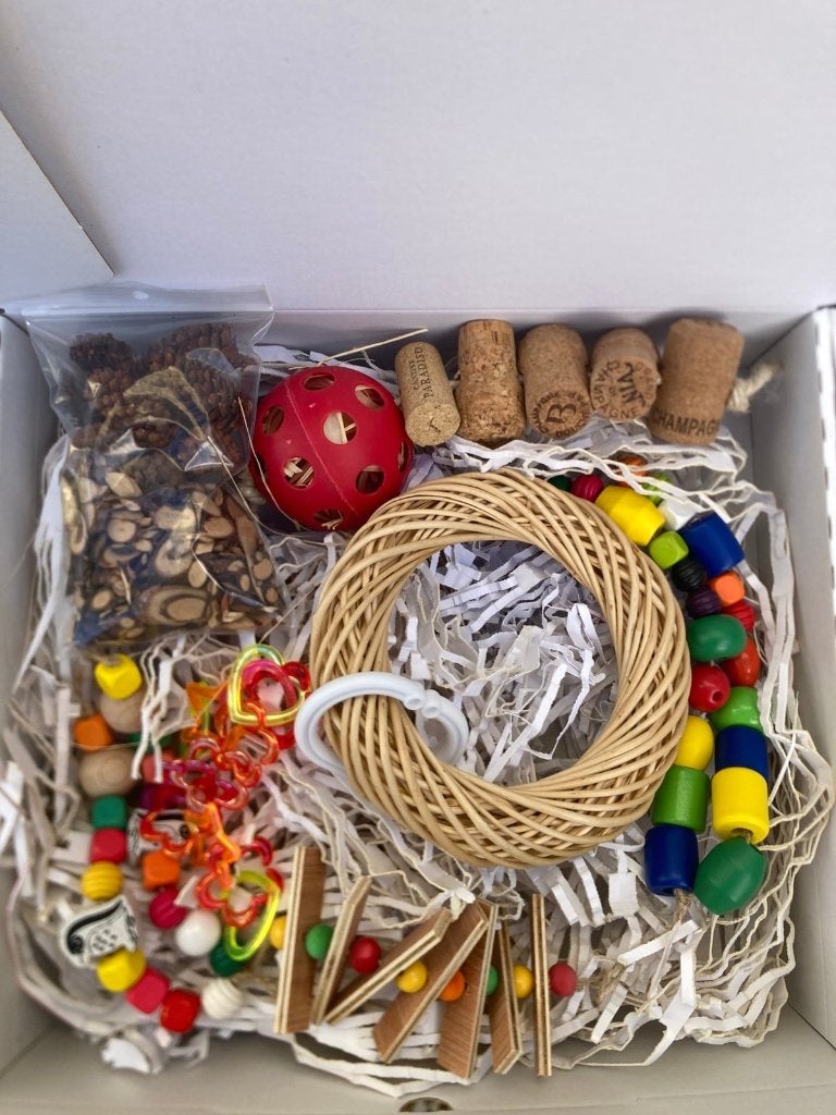 Papegaai speelgoed, Animaux & Accessoires, Enlèvement, Neuf, Jouet