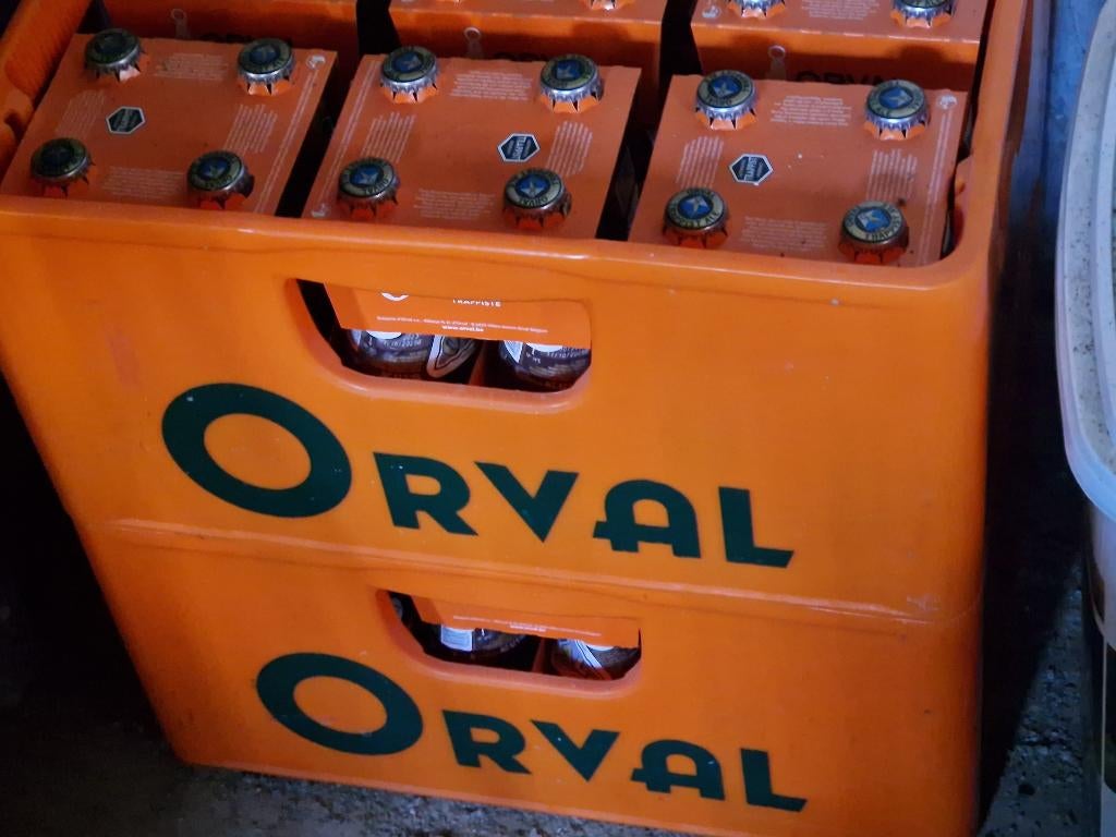 Orval Bac - Casier de 2023 Complet, Enlèvement, Neuf, Bouteille(s), Autres marques