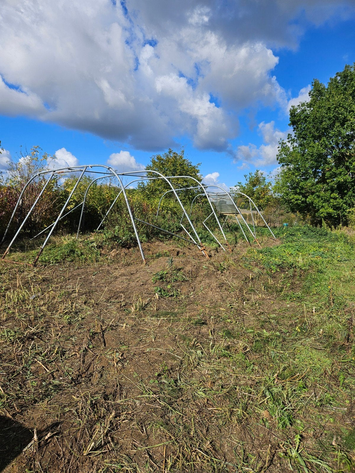structure de serre en alu, Jardin & Terrasse, Enlèvement