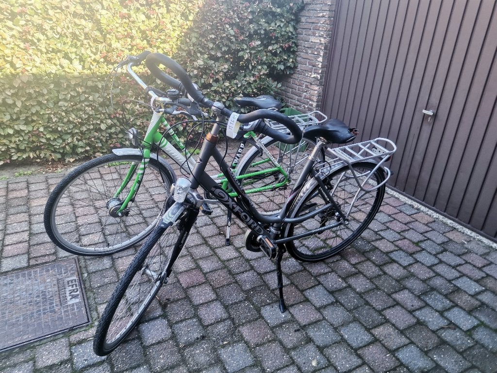 Studenten damesfietsen, Enlèvement, Utilisé, Frein sur jante, Vitesses